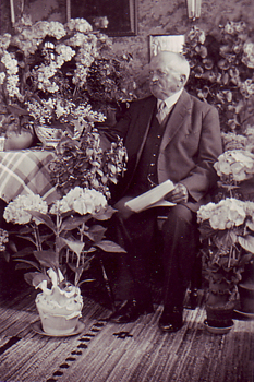Albert   Danielsson 1860-1940